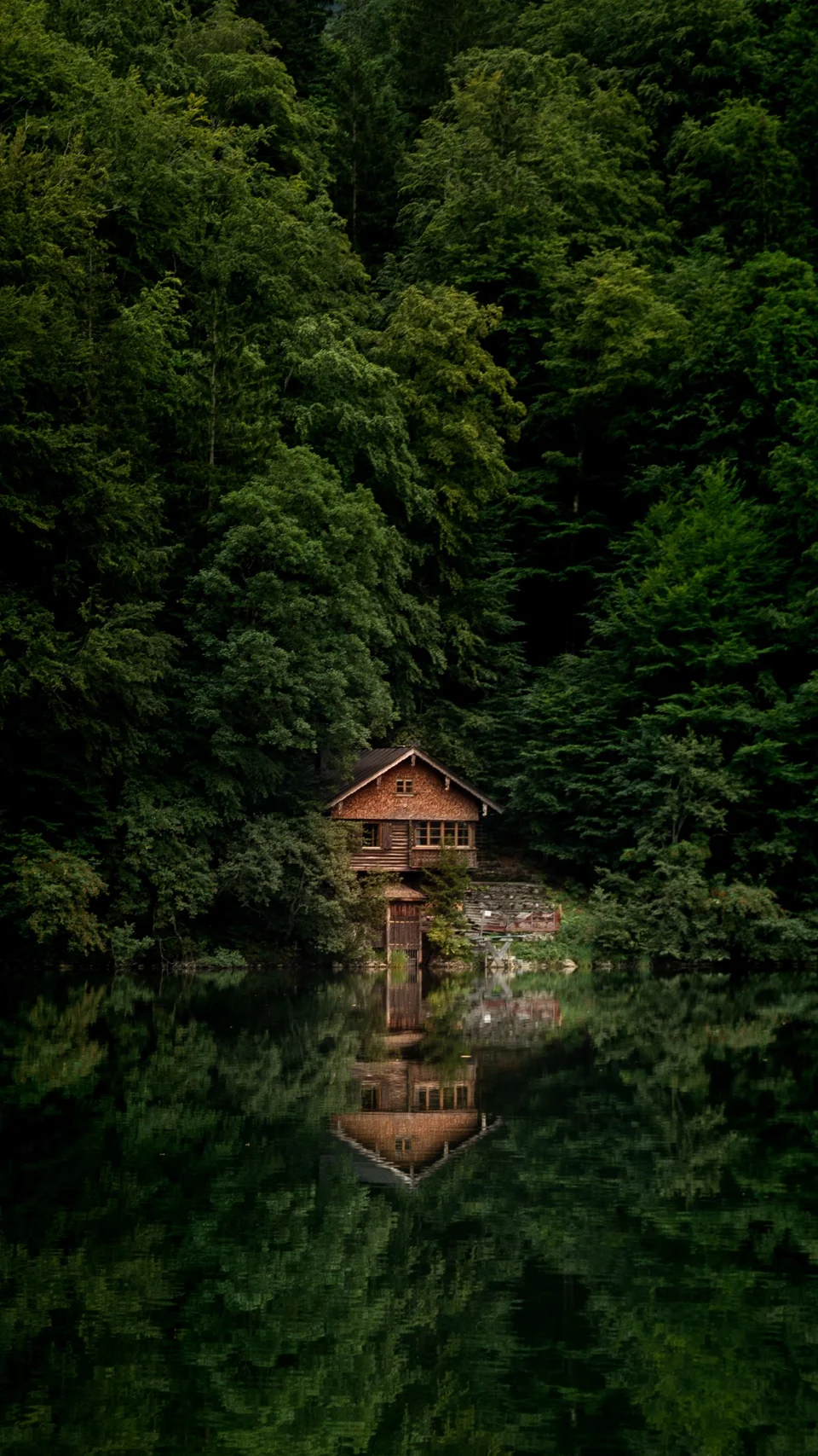Drewniany domek nad leśnym jeziorem — referencyjna fotografia krajobrazu