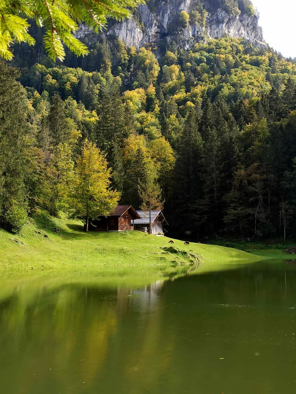 Domek nad zielonym jeziorem wśród drzew — fotografia referencyjna